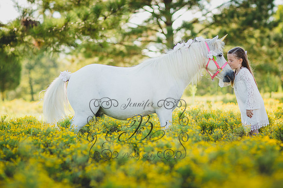 Jennifer B Photography-Unicorn Session 2016-5