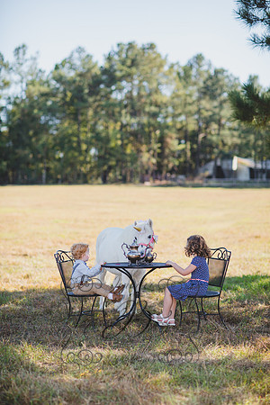 Jennifer B. Photography-Unicorn 3-21
