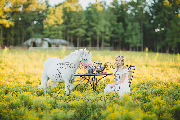 Jennifer B Photography-Unicorn Session 2016-39