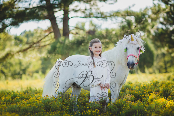 Jennifer B Photography-Unicorn Session 2016-10