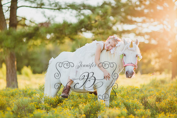 Jennifer B Photography-Unicorn Session 2016-29