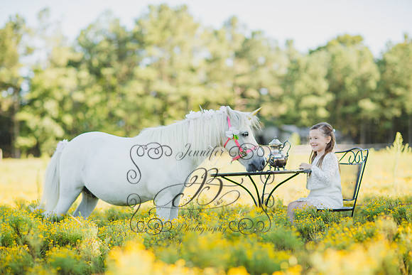 Jennifer B Photography-Unicorn Session 2016-25