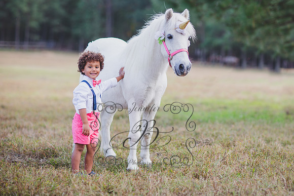 Jennifer B. Photography-Unicorn session 6-7