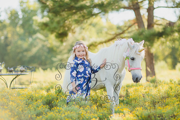 Jennifer B Photography-Unicorn Session 2016-22