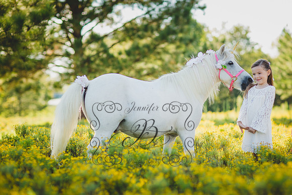Jennifer B Photography-Unicorn Session 2016-2