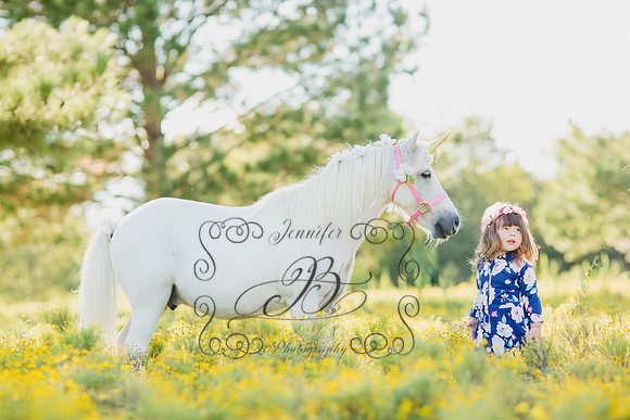 Jennifer B Photography-Unicorn Session 2016-1