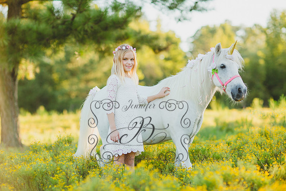 Jennifer B Photography-Unicorn Session 2016-11