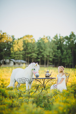 Jennifer B Photography-Unicorn Session 2016-41