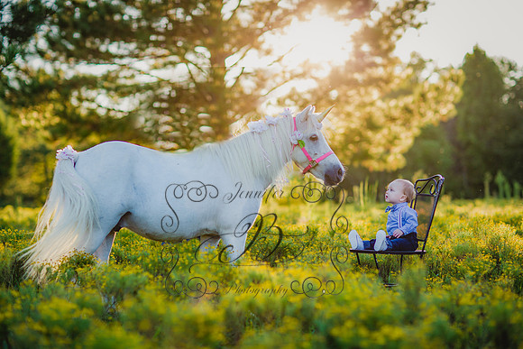 Jennifer B Photography-Unicorn Session 2016-20