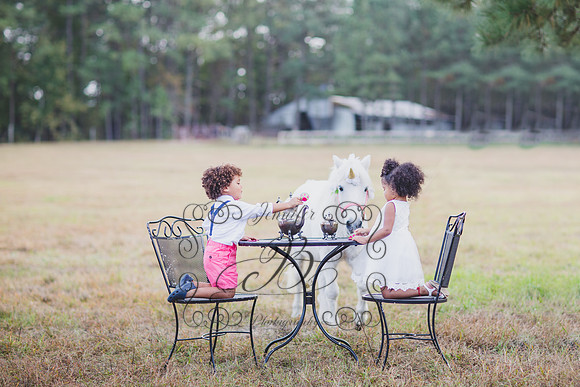 Jennifer B. Photography-Unicorn session 6-22