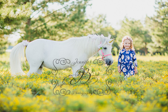 Jennifer B Photography-Unicorn Session 2016-20