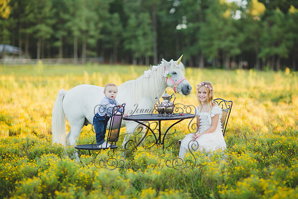 Jennifer B Photography-Unicorn Session 2016-36
