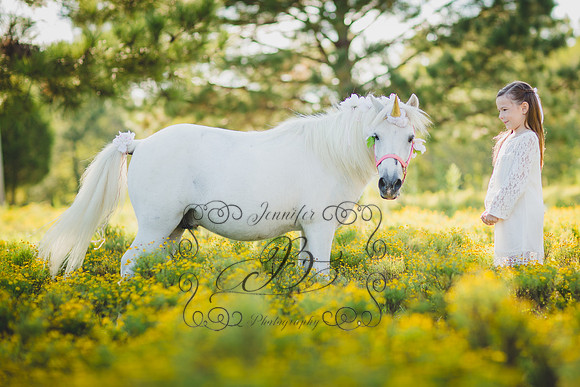 Jennifer B Photography-Unicorn Session 2016-7