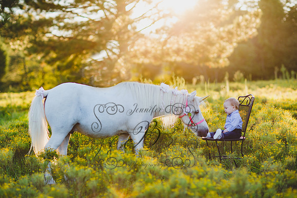 Jennifer B Photography-Unicorn Session 2016-18