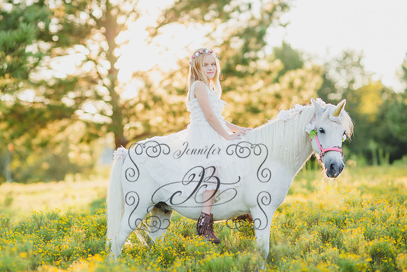 Jennifer B Photography-Unicorn Session 2016-23