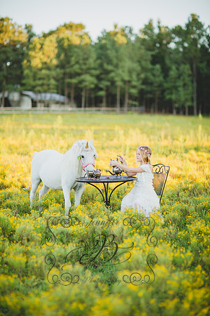 Jennifer B Photography-Unicorn Session 2016-45