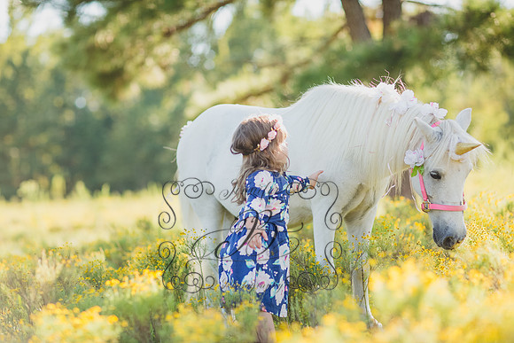 Jennifer B Photography-Unicorn Session 2016-3