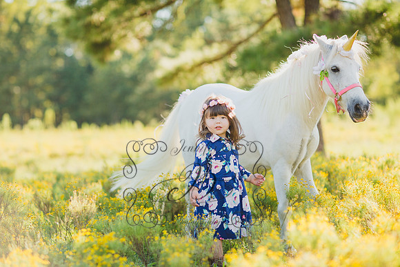 Jennifer B Photography-Unicorn Session 2016-6