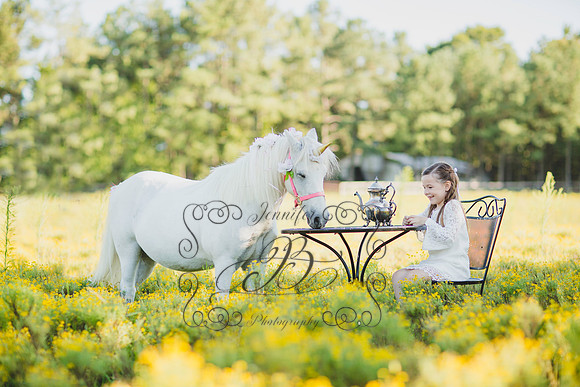 Jennifer B Photography-Unicorn